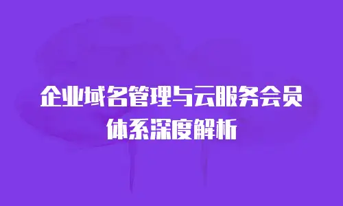 企业域名管理与云服务会员体系深度解析