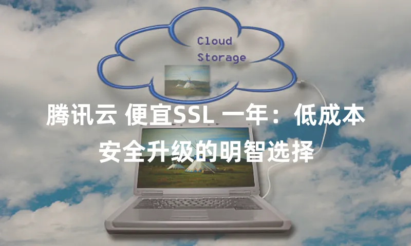 腾讯云 便宜SSL 一年：低成本安全升级的明智选择