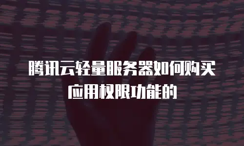 腾讯云轻量服务器如何购买应用权限功能的