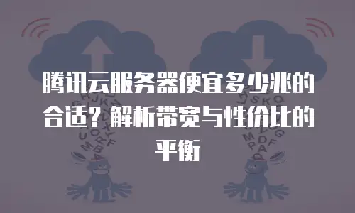 腾讯云服务器便宜多少兆的合适？解析带宽与性价比的平衡